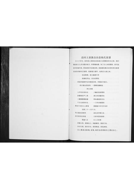 贵州杨氏-杨氏家谱[不分卷].pdf电子版预览图2