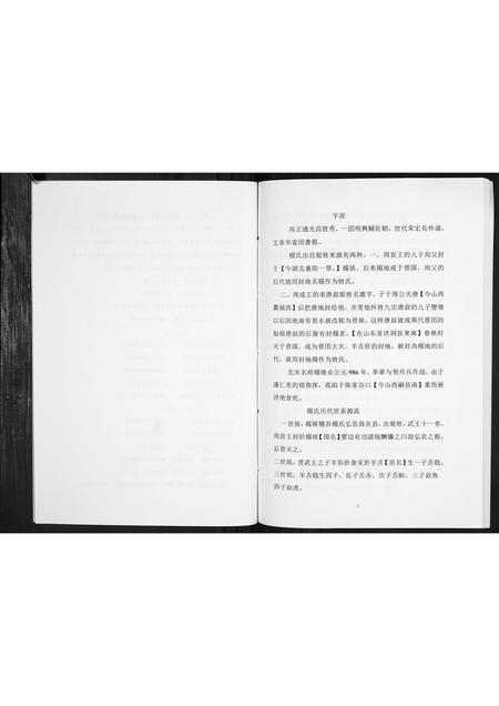 贵州杨氏-杨氏家谱[不分卷].pdf电子版预览图3