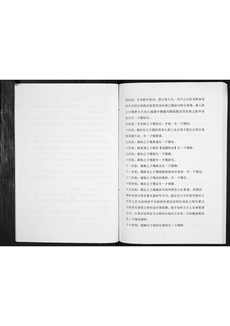 贵州杨氏-杨氏家谱[不分卷].pdf电子版预览图4