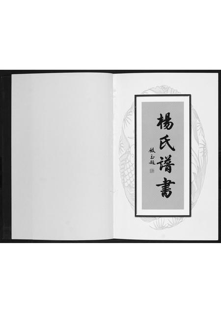 辽宁杨氏-杨氏谱书.pdf电子版预览图1