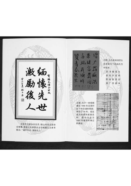 辽宁杨氏-杨氏谱书.pdf电子版预览图2