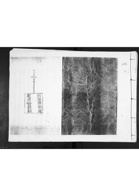 山东姚氏-姚氏族谱.pdf电子版缩略图