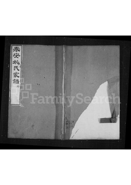 山东姚氏-姚氏家谱(别名：泰安姚氏家谱).pdf电子版缩略图