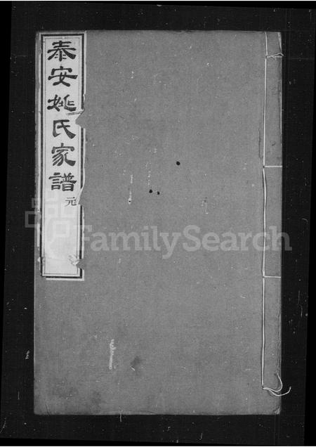 山东姚氏-姚氏家谱(别名：泰安姚氏家谱).pdf电子版预览图1