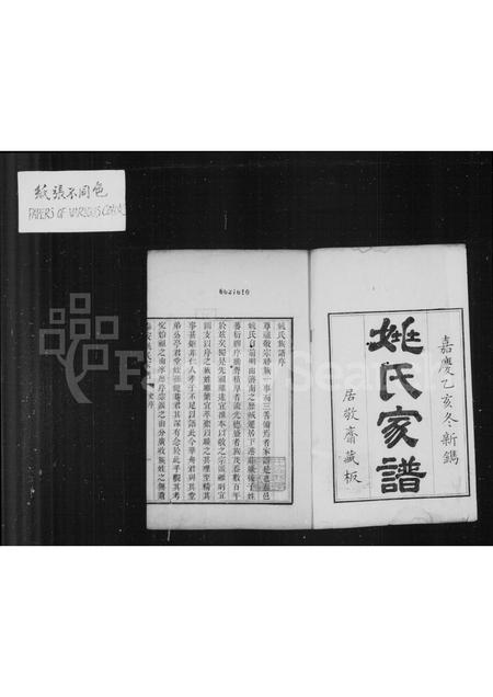 山东姚氏-姚氏家谱(别名：泰安姚氏家谱).pdf电子版预览图2