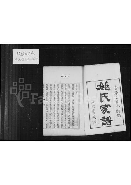 山东姚氏-姚氏家谱(别名：泰安姚氏家谱).pdf电子版预览图3