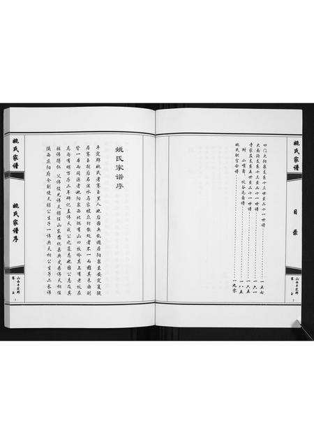 山西姚氏-姚氏家谱.pdf电子版预览图2