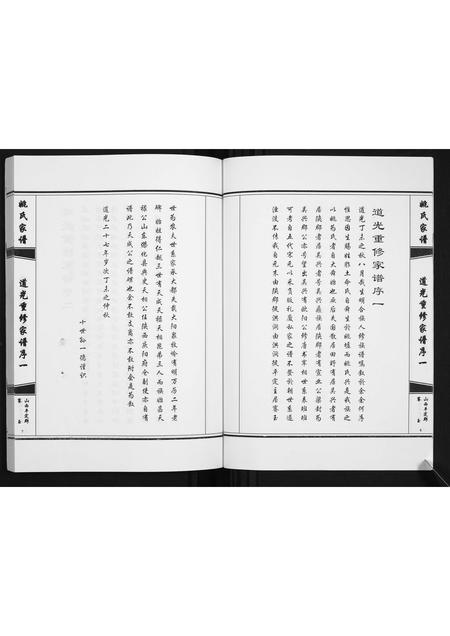 山西姚氏-姚氏家谱.pdf电子版预览图5