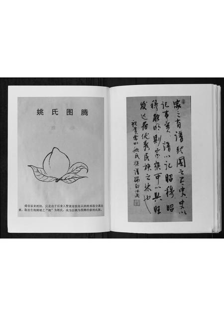 广西姚氏-蒙山姚氏族谱.pdf电子版预览图3