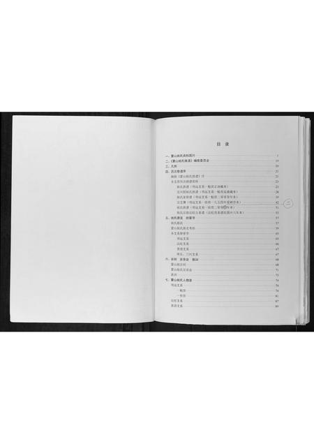 广西姚氏-蒙山姚氏族谱.pdf电子版预览图5