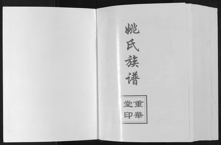 贵州姚氏-姚氏族谱[不分卷].pdf电子版预览图1