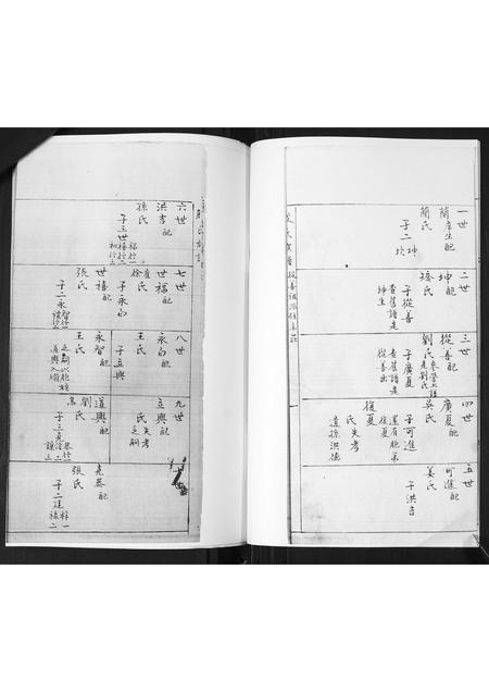 山东殷氏-殷氏族谱[不分卷].pdf电子版预览图4