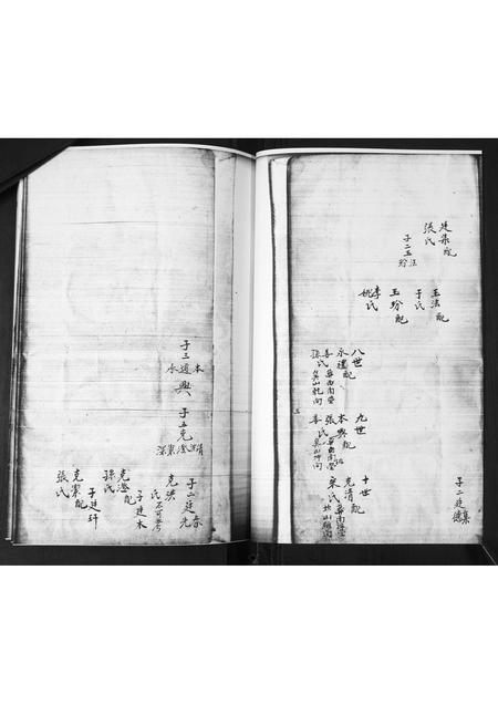 山东殷氏-殷氏祖谱[不分卷].pdf电子版预览图5