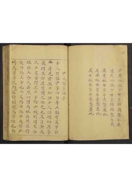 四川尹氏-[尹氏谱系].pdf电子版预览图2