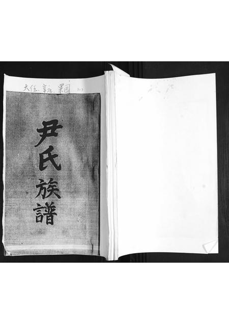 山东尹氏-尹氏族谱.pdf电子版缩略图