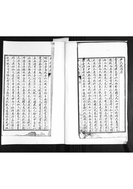 山东尹氏-尹氏族谱.pdf电子版预览图1