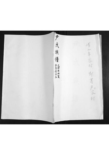 山东尹氏-尹氏族谱.pdf电子版缩略图