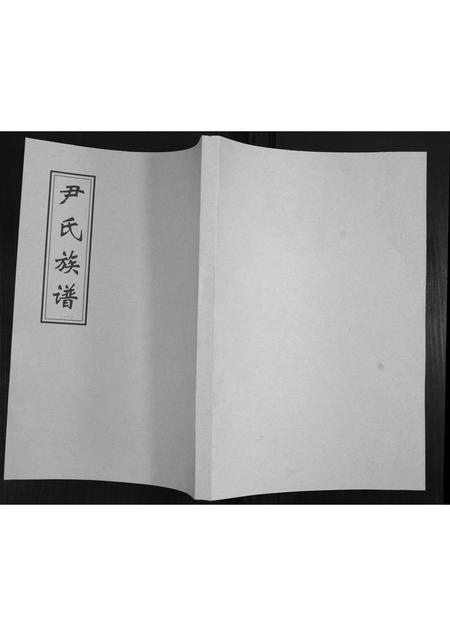 山东尹氏-尹氏族谱.pdf电子版缩略图