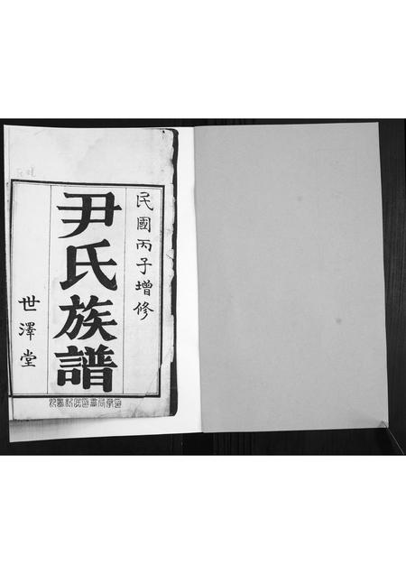 山东尹氏-尹氏族谱.pdf电子版预览图1