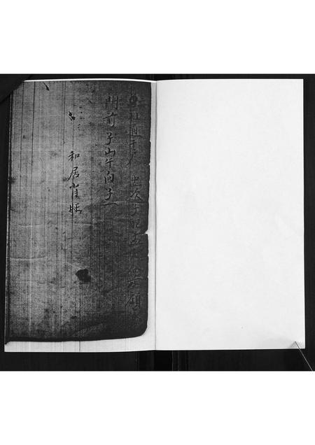 山东尹氏-尹氏族谱.pdf电子版预览图1