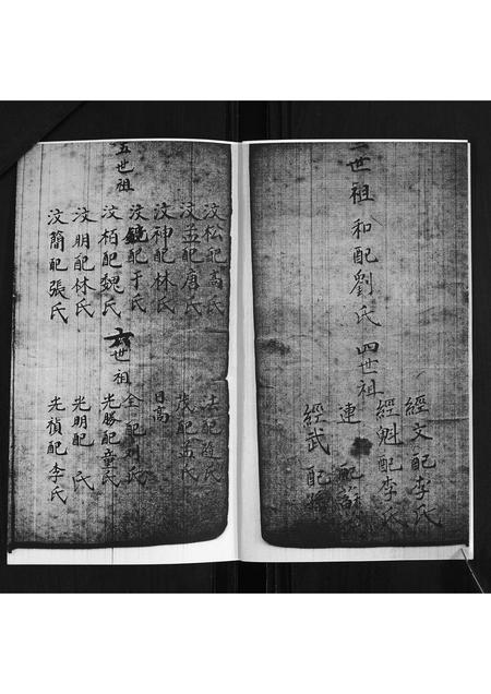 山东尹氏-尹氏族谱.pdf电子版预览图2