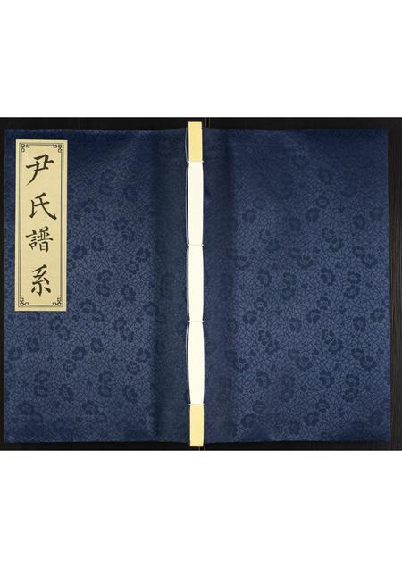 山东尹氏-尹氏谱系.pdf电子版缩略图