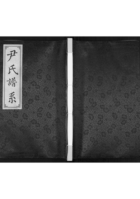 山东尹氏-尹氏谱系[不分卷].pdf电子版缩略图