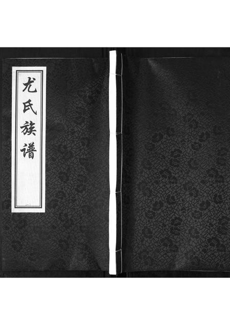 山东尤氏-尤氏族谱[不分卷].pdf电子版缩略图