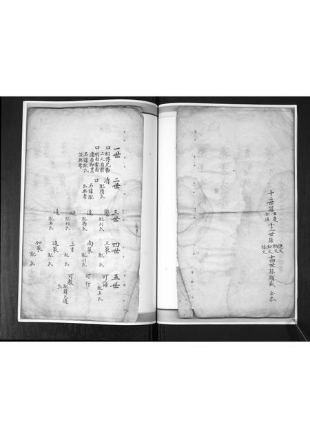 山东尤氏-尤氏族谱[不分卷].pdf电子版预览图4