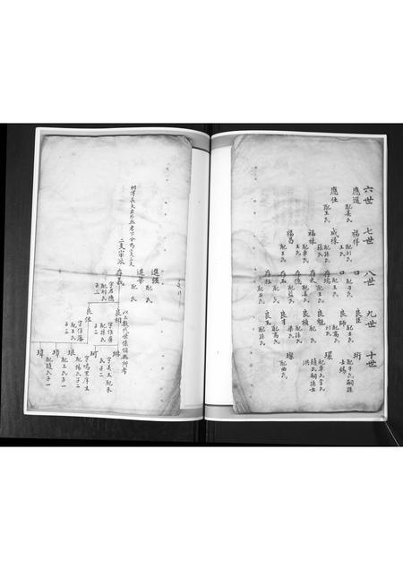 山东尤氏-尤氏族谱[不分卷].pdf电子版预览图5