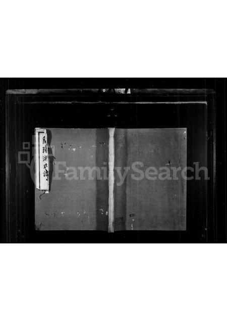 四川游氏-简阳游氏谱 [19卷,首末各1卷].pdf电子版缩略图