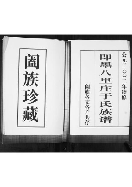 山东于氏-于氏族谱.pdf电子版预览图1