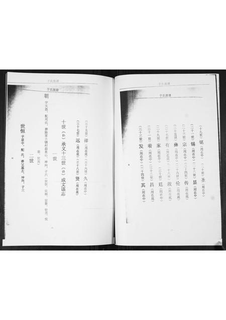 山东于氏-于氏族谱.pdf电子版预览图4