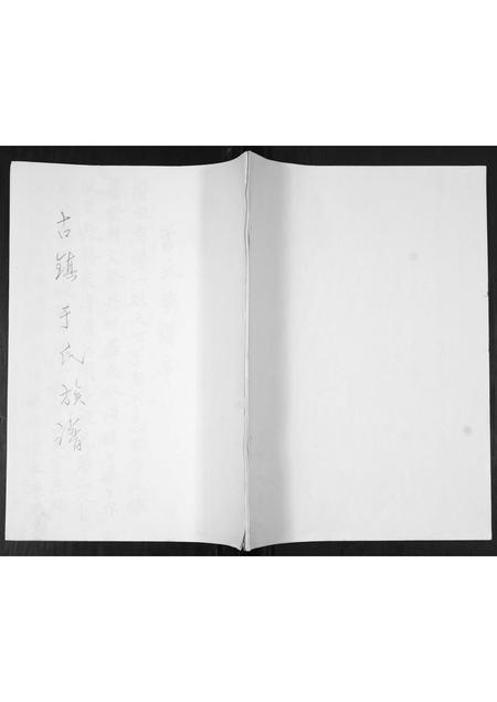 山东于氏-于氏族谱.pdf电子版缩略图