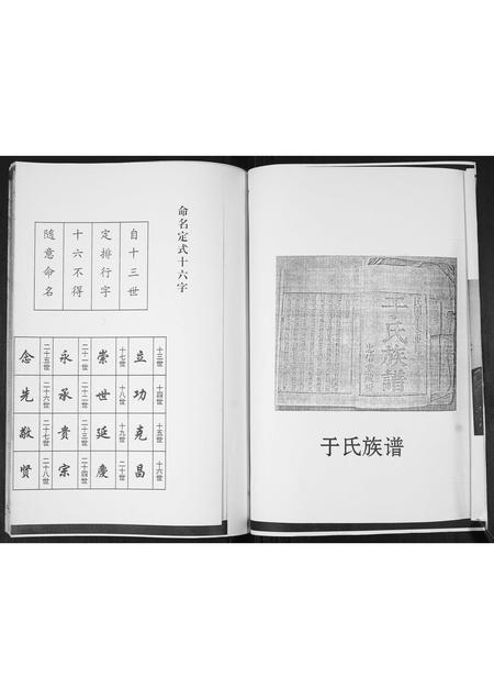 山东于氏-于氏族谱.pdf电子版预览图2