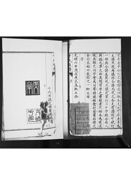 山东于氏-于氏族谱.pdf电子版预览图3