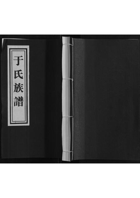 山东于氏-于氏族谱.pdf电子版缩略图