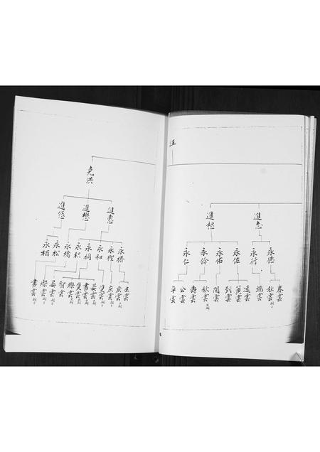 山东于氏-于氏族谱[2卷].pdf电子版预览图4