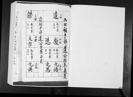 山东于氏-东瓦戈庄于氏族谱.pdf电子版预览图2