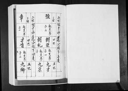 山东于氏-东瓦戈庄于氏族谱.pdf电子版预览图3