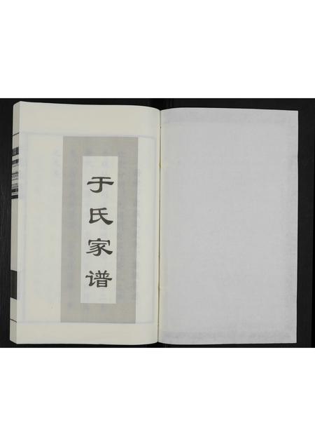河北于氏-于氏家谱(别名：于氏族谱).pdf电子版预览图1