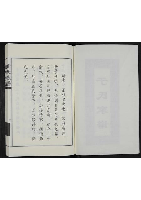 河北于氏-于氏家谱(别名：于氏族谱).pdf电子版预览图2