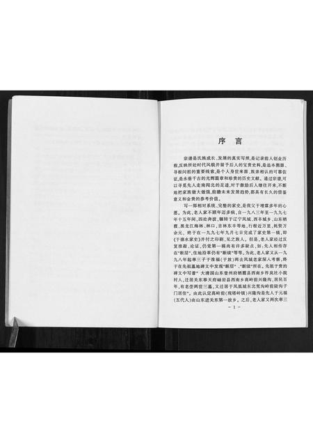 辽宁于氏-于德水后裔宗谱考记.pdf电子版预览图3