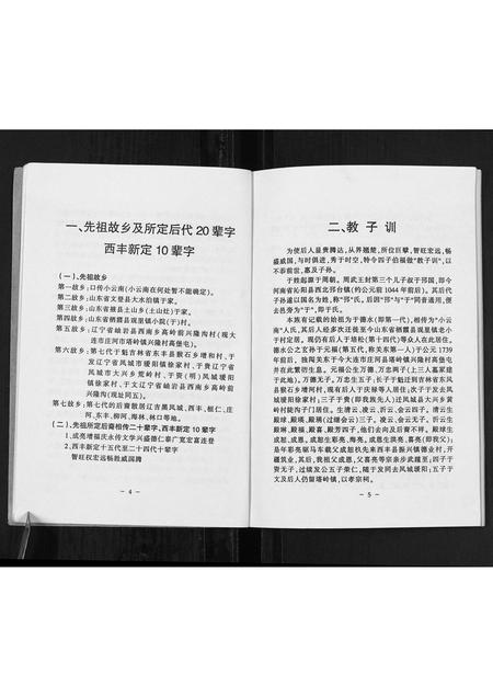 辽宁于氏-于德水后裔宗谱考记.pdf电子版预览图5