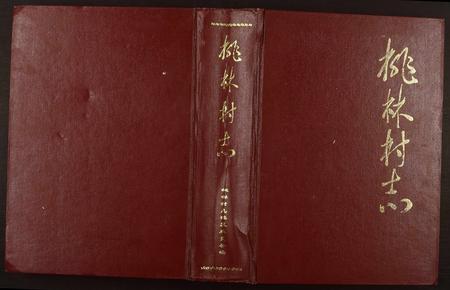 山东于氏张氏-[于氏][张氏]桃林村志.pdf电子版缩略图