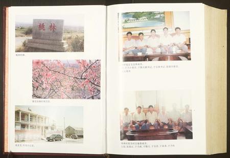 山东于氏张氏-[于氏][张氏]桃林村志.pdf电子版预览图3