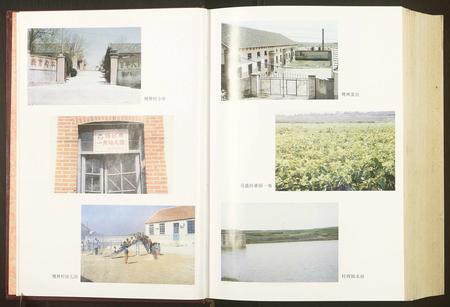 山东于氏张氏-[于氏][张氏]桃林村志.pdf电子版预览图5