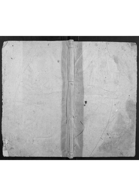 广西余氏-余氏宗谱[不分卷].pdf电子版缩略图