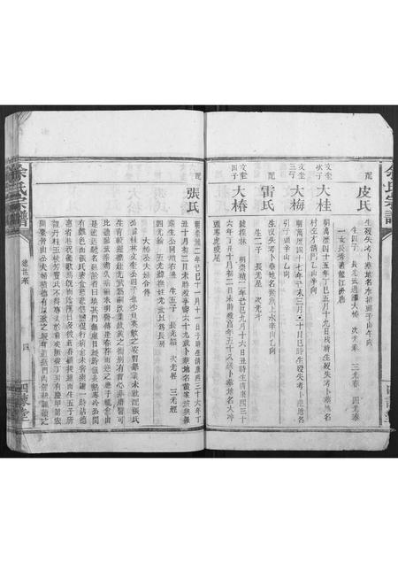 广西余氏-余氏宗谱[不分卷].pdf电子版预览图4