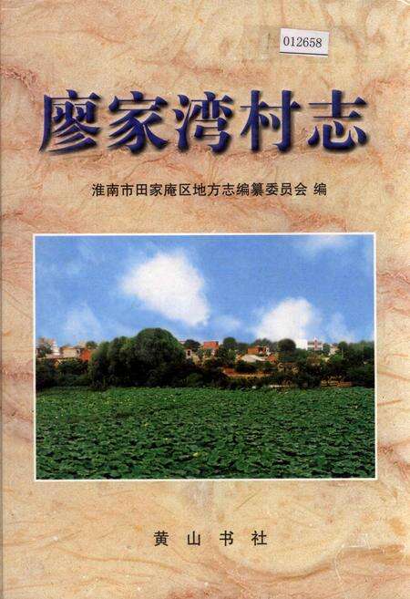 《廖家湾村志》.pdf电子版_安徽省志缩略图